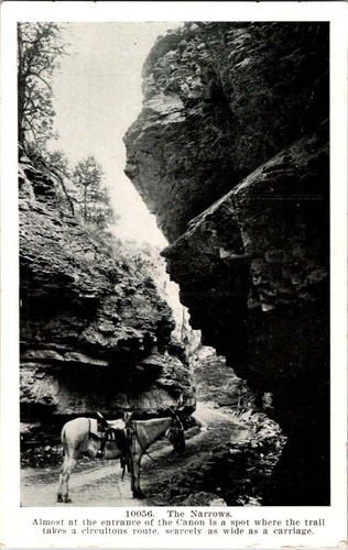 Springdale postcard the - ut,