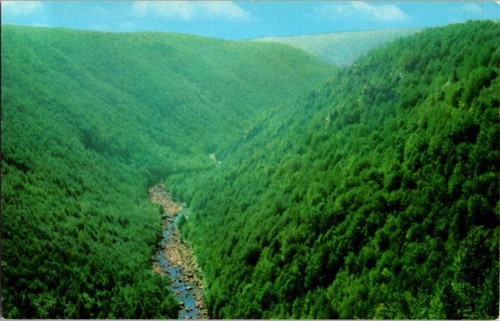 Davis postcard blackwater - davis, wv