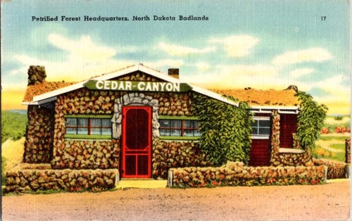 Belfield postcard petrified - nd,