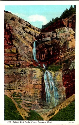 Provo postcard bridal - postcard, veil