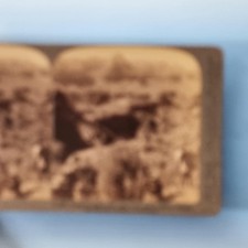 Grand Canyon AZ Stereoview