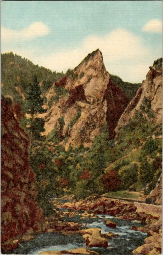 Cedar grove postcard kings - cedar,